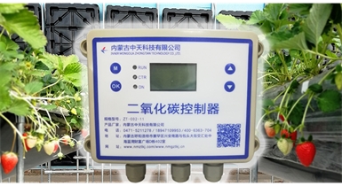 中國北方CO?新技術(shù)，將促進(jìn)農作物光合作用和光合產(chǎn)物的生成