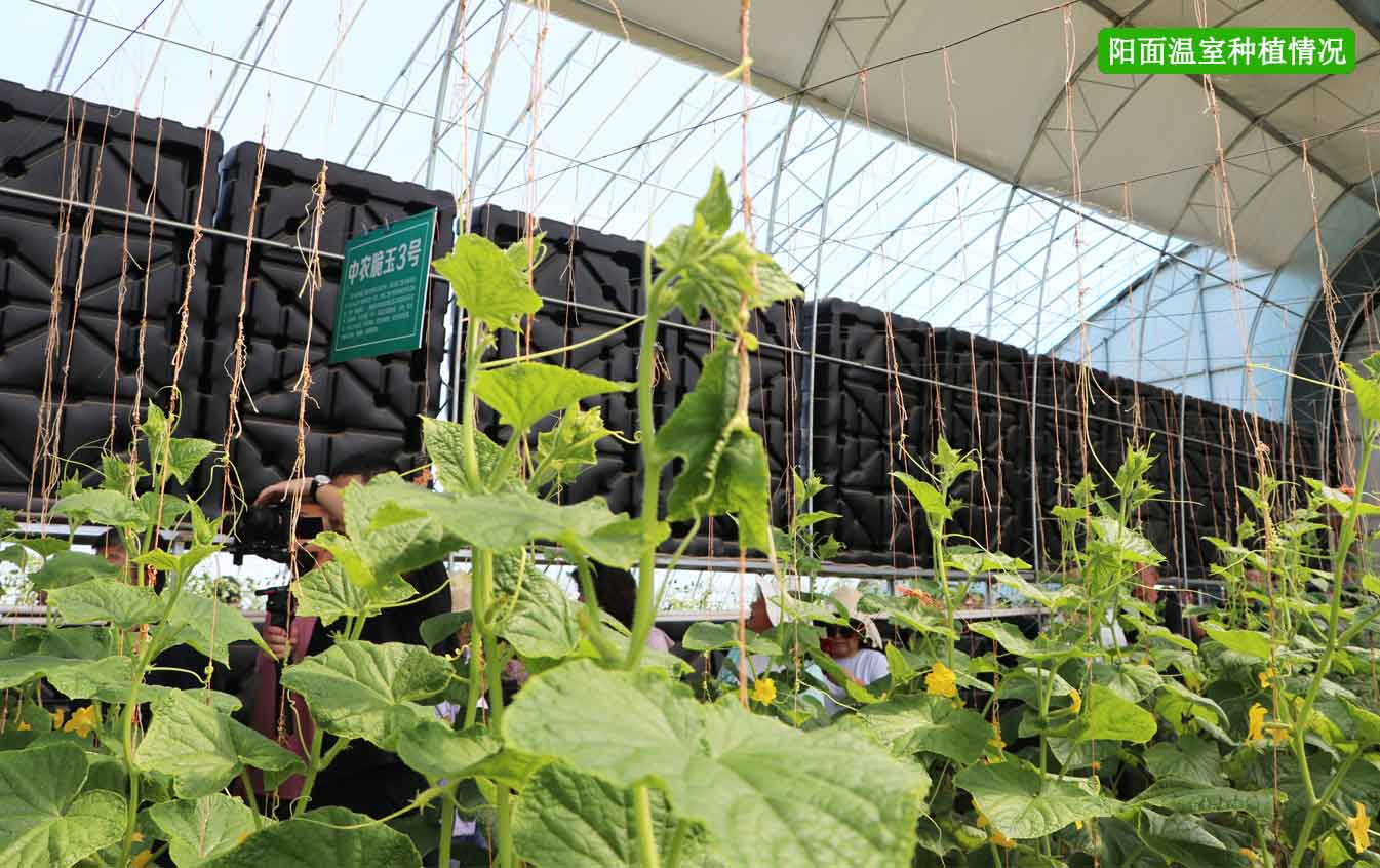 2、四季溫室網(wǎng)頁(yè)_12.jpg